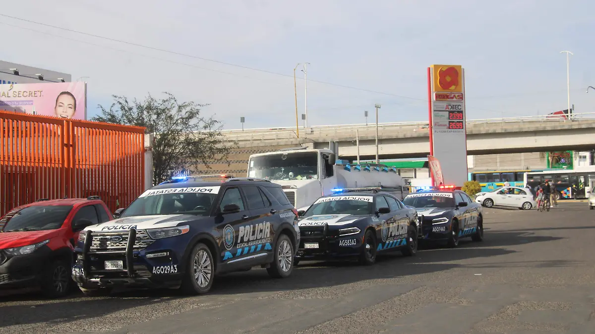 POLICIA ESTATAL (1)